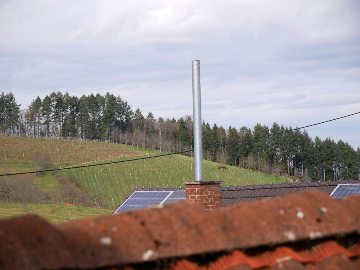 Ferienwohnung Obere Alm Oberkirch  Extérieur photo