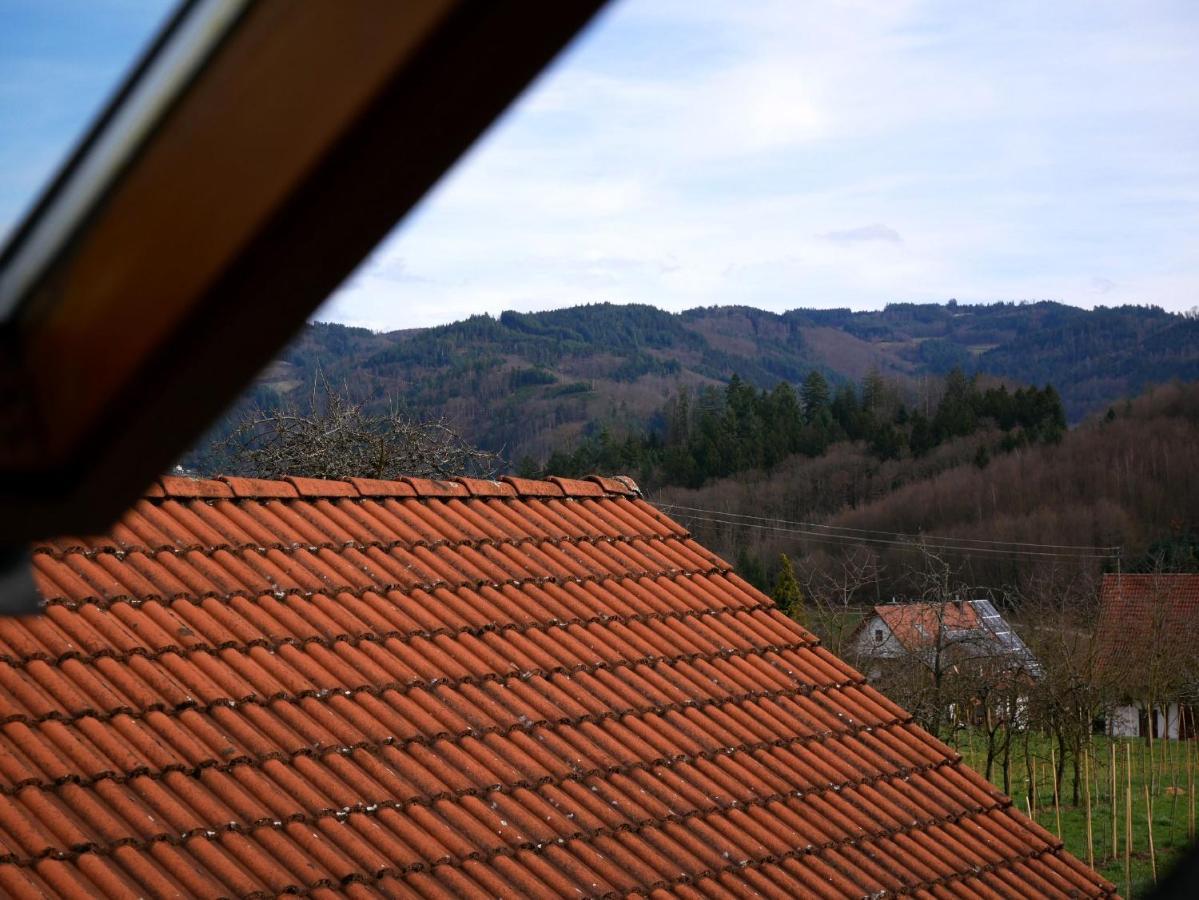 Ferienwohnung Obere Alm Oberkirch  Extérieur photo